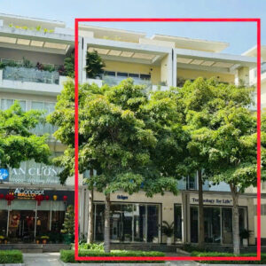 CHO THUÊ 1 cặp thông nhau số 41-43 mặt tiền Nguyễn Cơ Thạch,1.400m2, Nhà đẹp, nhận diện thương hiệu tốt.